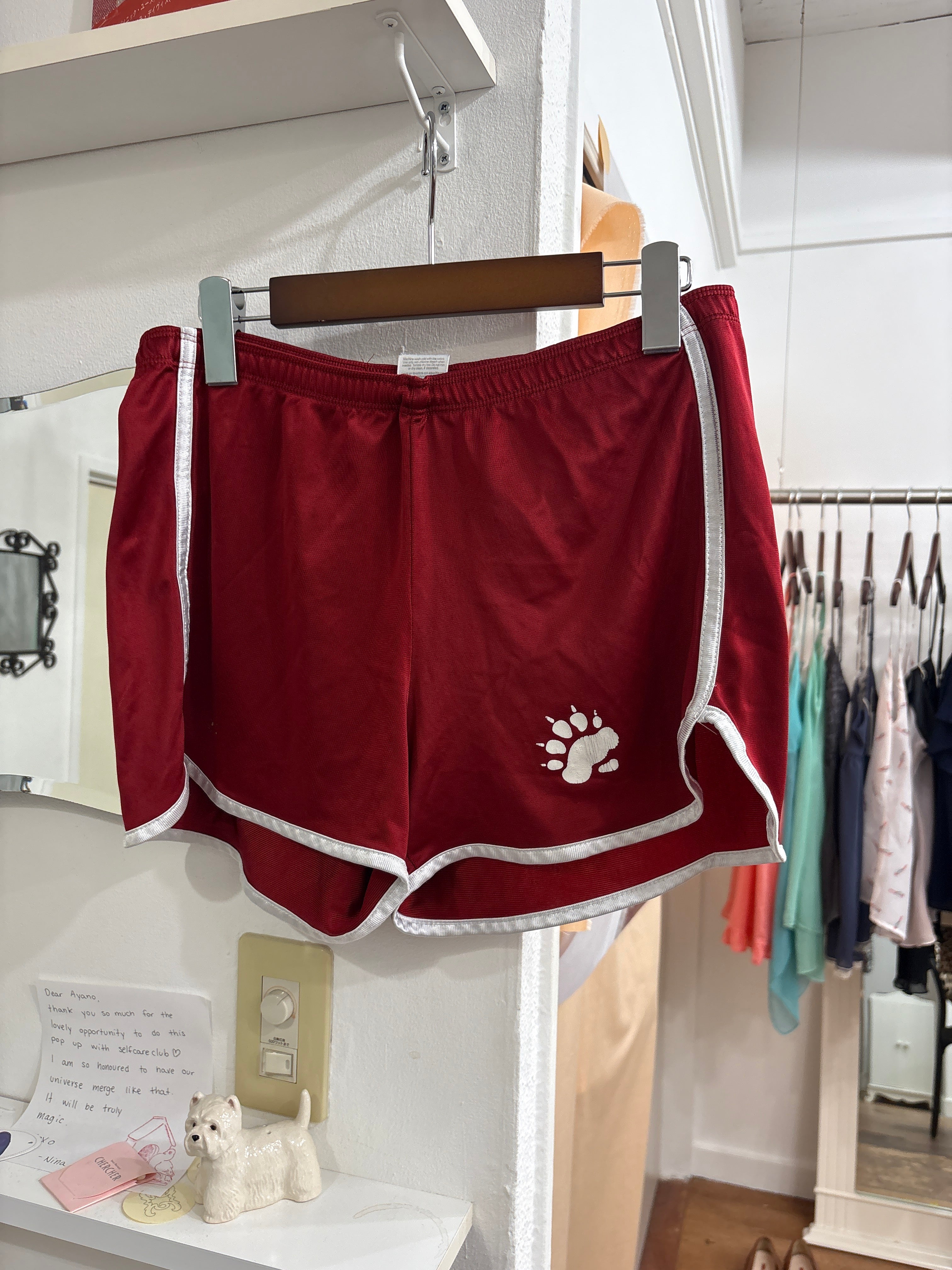 dog shorts
