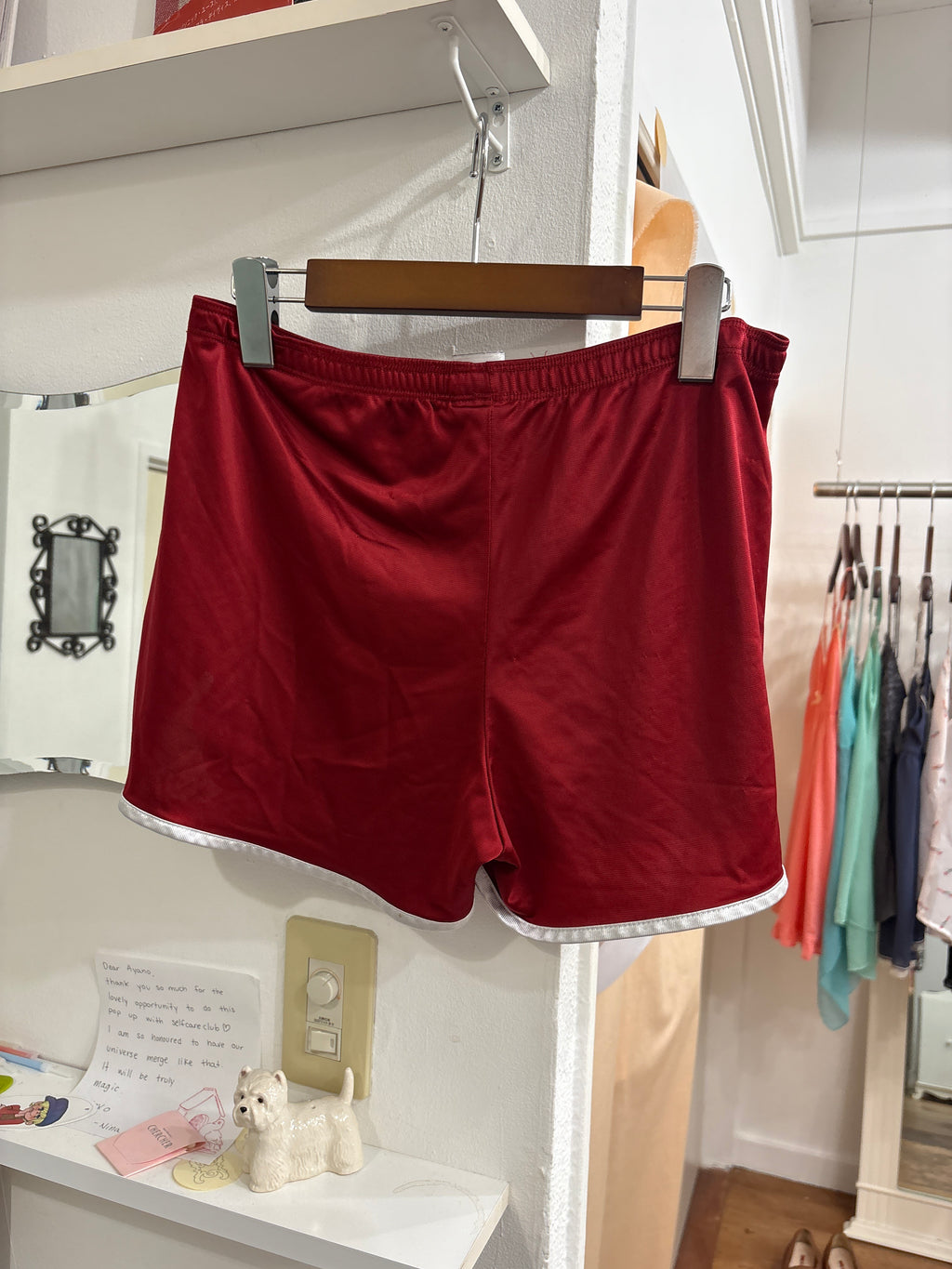 dog shorts
