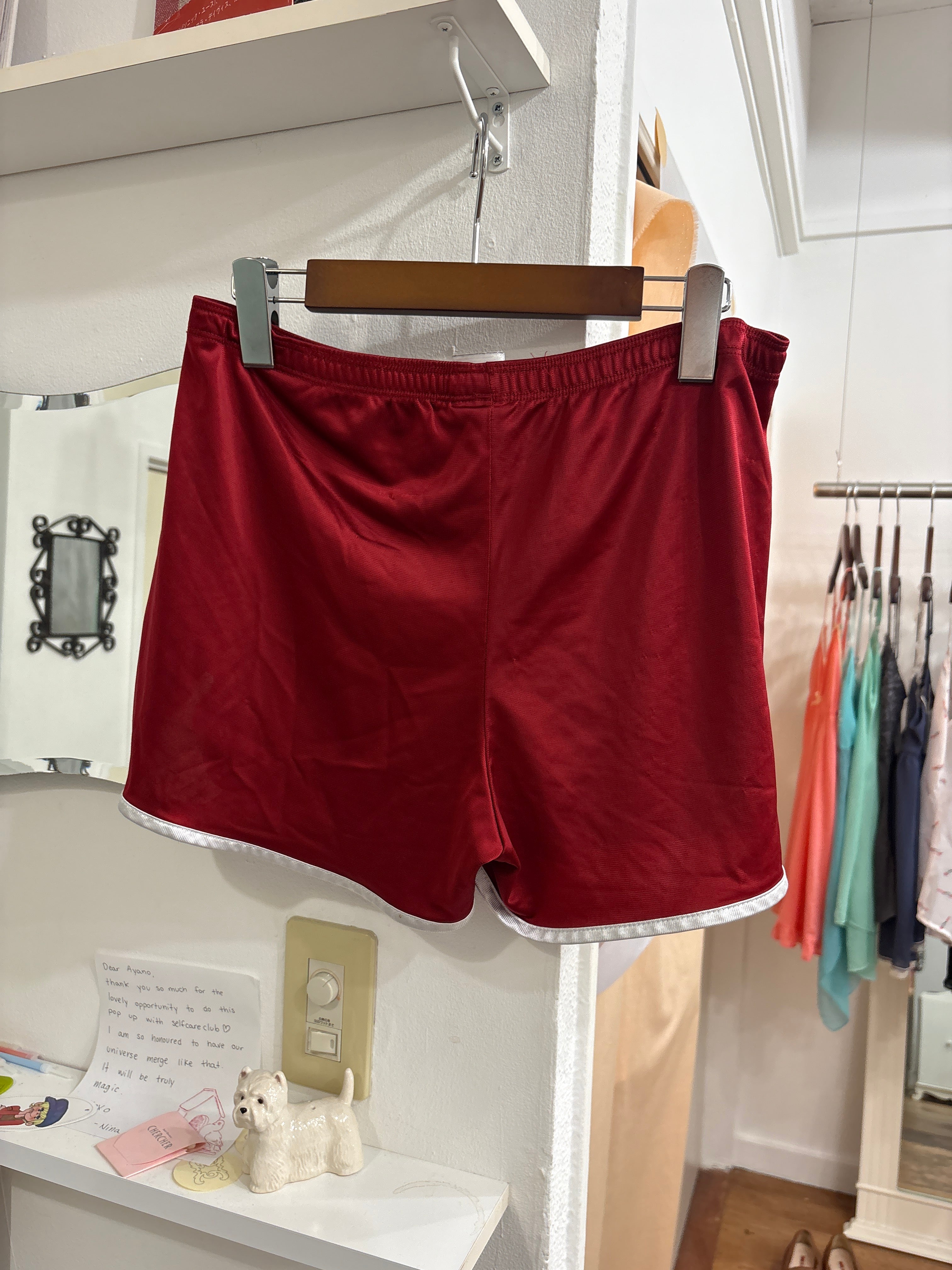 dog shorts